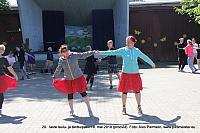 IMG 2808