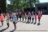 IMG 2910