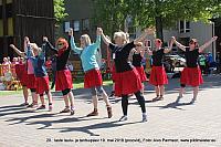 IMG 2955