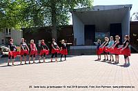 IMG 2981