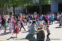 IMG 3005