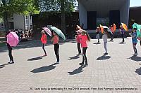 IMG 3064