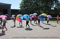 IMG 3066