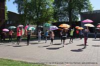 IMG 3067