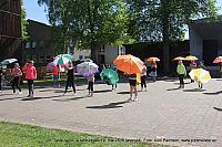 IMG 3072