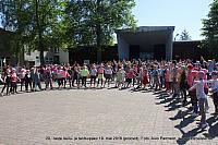 IMG 3135