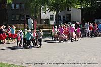 IMG 3154