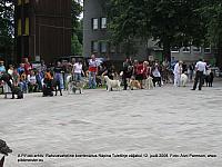 Koer 005