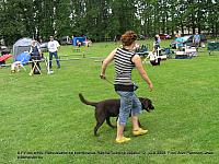 Koer 011