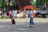 IMG 3026