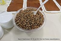 IMG 3248