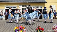 DSC08065