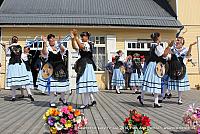 IMG 8879