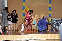 Mini (134)