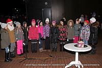 IMG 8531