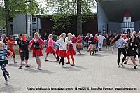 Proovid 089