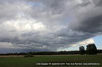 Linte 119