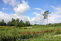 IMG 0867