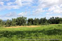 IMG 0870