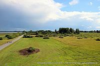 IMG 5373