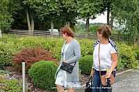 IMG 5433